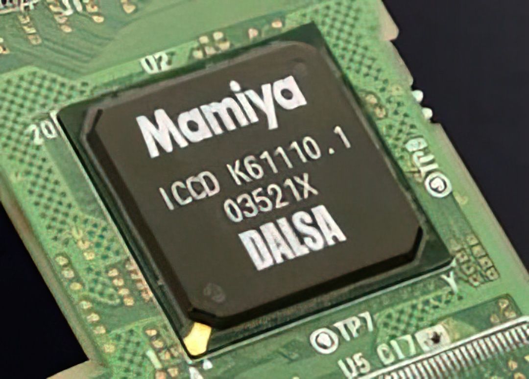 Mamiya ZD: A True Medium Format DSLR (Reviewed)